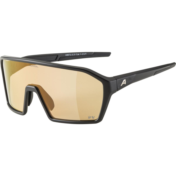 Alpina Sportbrille RAM Q-LITE V